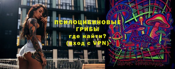 эйфоретик Заводоуковск