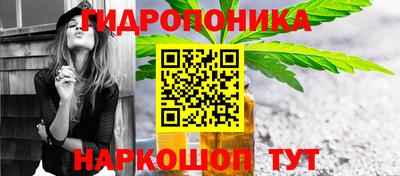 a pvp Кунгур