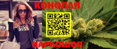 прущие крисы Абакан