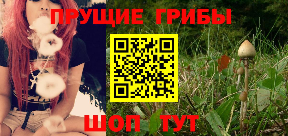 Псилоцибиновые грибы Psilocybe Нефтеюганск